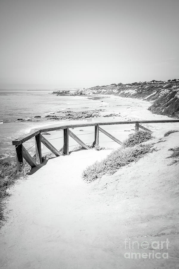 Newport Crystal Cove Overlook Black and White Photo Photograph by Paul Velgos