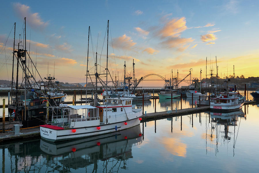 Newport Harbor Sunset Photograph by Patrick Campbell