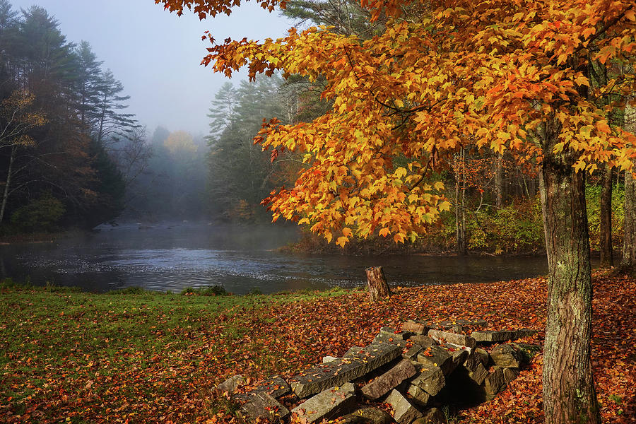 Newport NH Beautiful Fall Foliage and Sugar River Misty Morning Photograph by Toby McGuire
