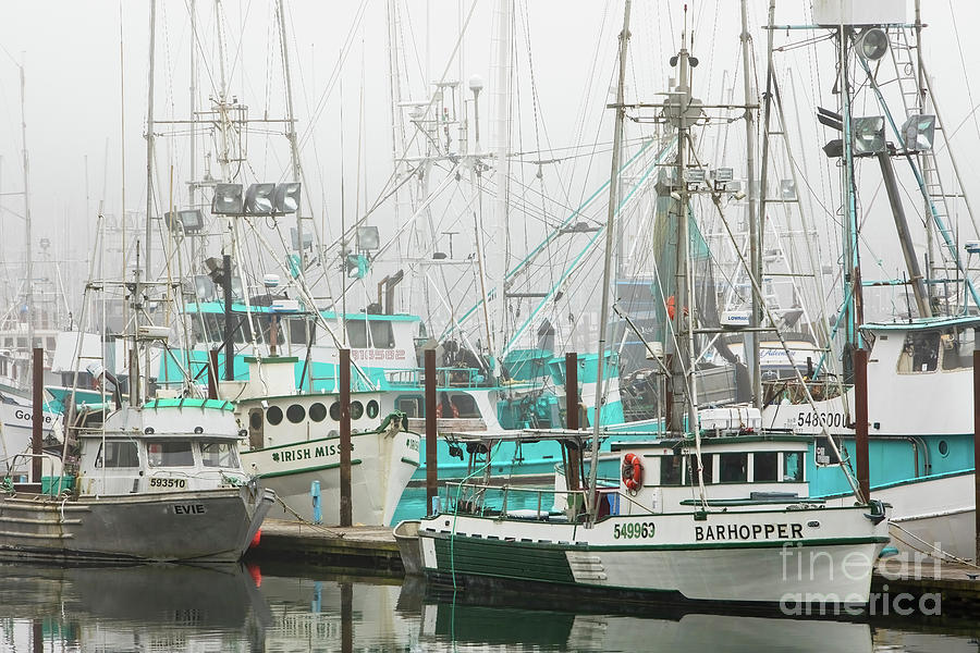 Newport, Oregon Fishing Fleet Photograph by Jerry Fornarotto