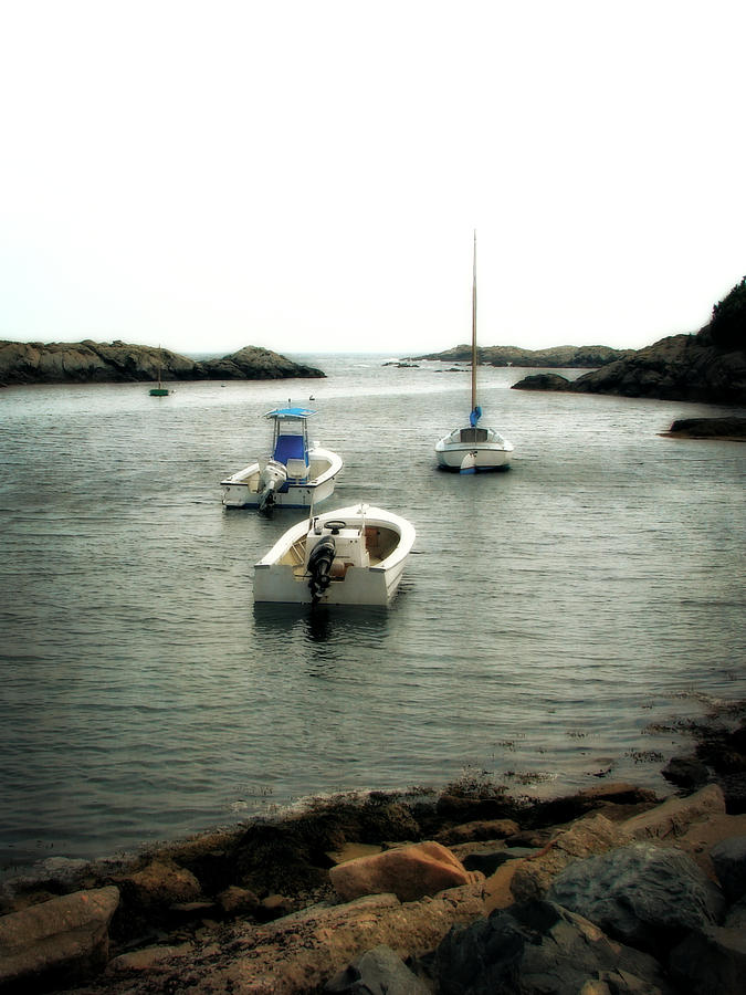 Boat Photograph - Newport Rhode Island Shoreline  by Michelle Calkins