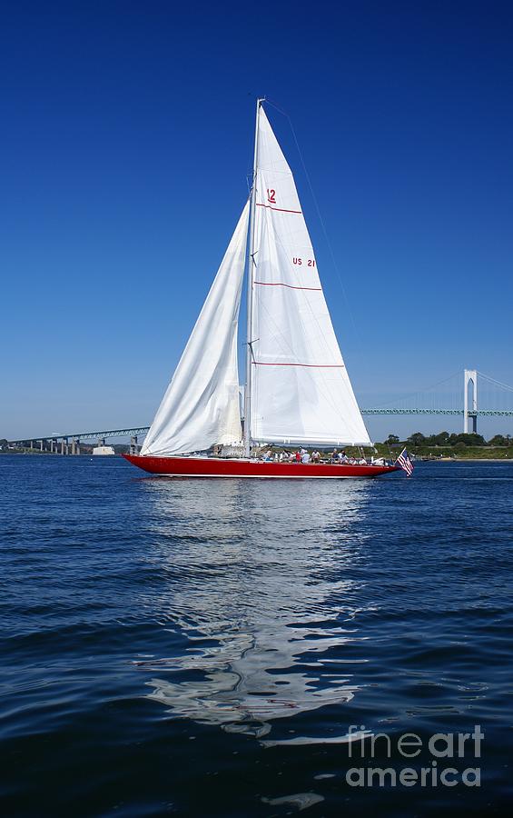 Newport Sails Photograph by Darcy Leigh