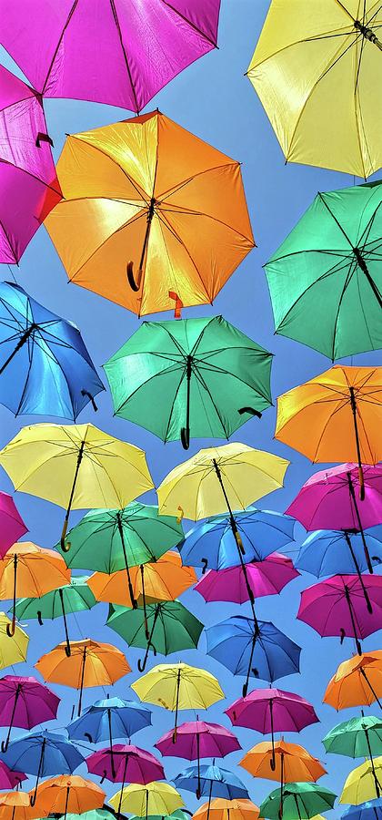 Newport Umbrellas Photograph by Kathy Barney