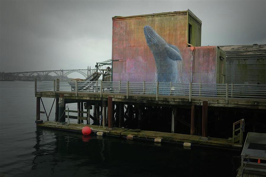 Newport Whale Dock Photograph by John Parulis