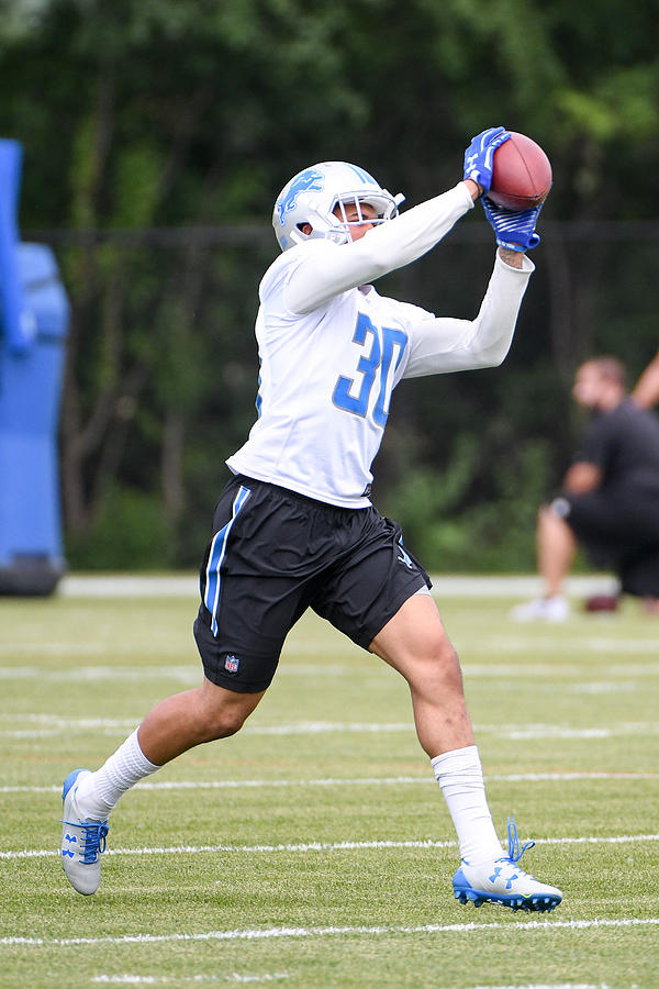 NFL: JUN 13 Lions Minicamp Photograph by Icon Sportswire
