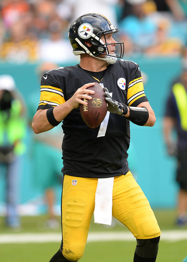 NFL: OCT 16 Steelers at Dolphins Photograph by Icon Sportswire