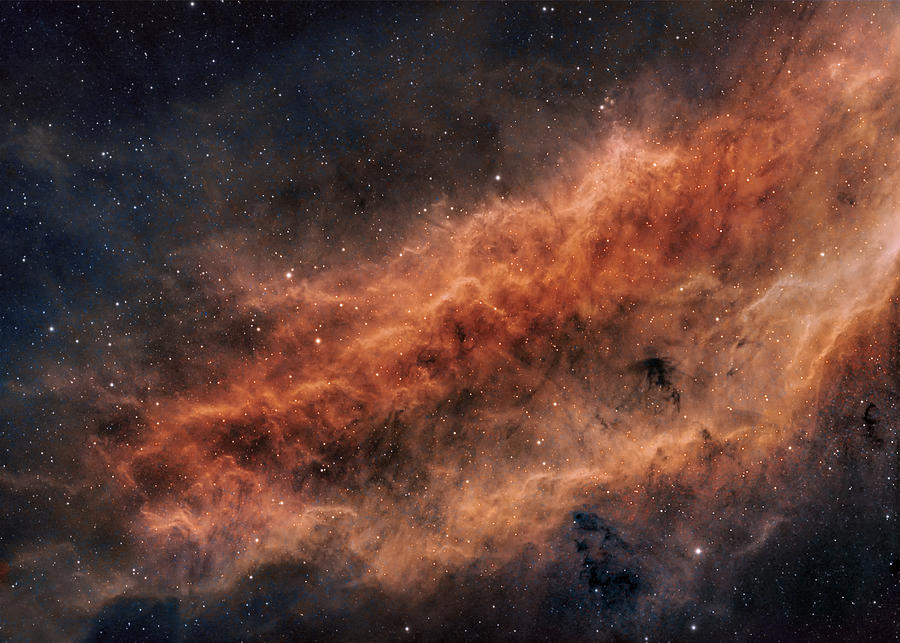 NGC 1499 The California Nebula Photograph by Paul C Swift