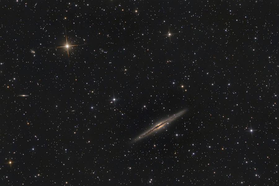 Ngc 891 Photograph by Timothy McIntyre