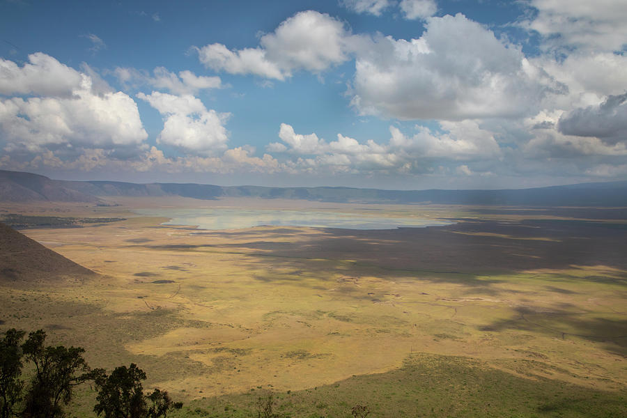 Ngorongoro project, no. 5018 Photograph by Jonathan Babon