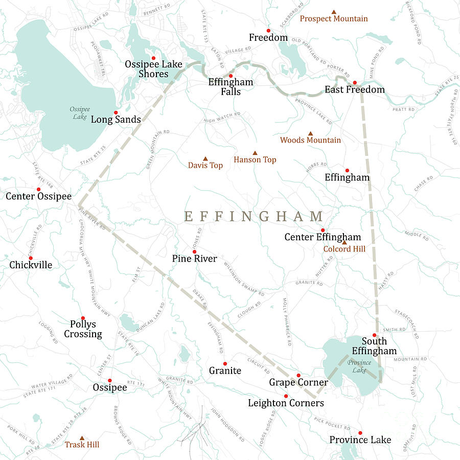 Map Digital Art - NH Carroll Effingham Vector Road Map by Frank Ramspott