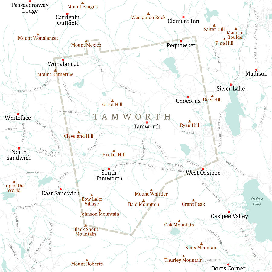 NH Carroll Tamworth Vector Road Map Digital Art by Frank Ramspott - Pixels