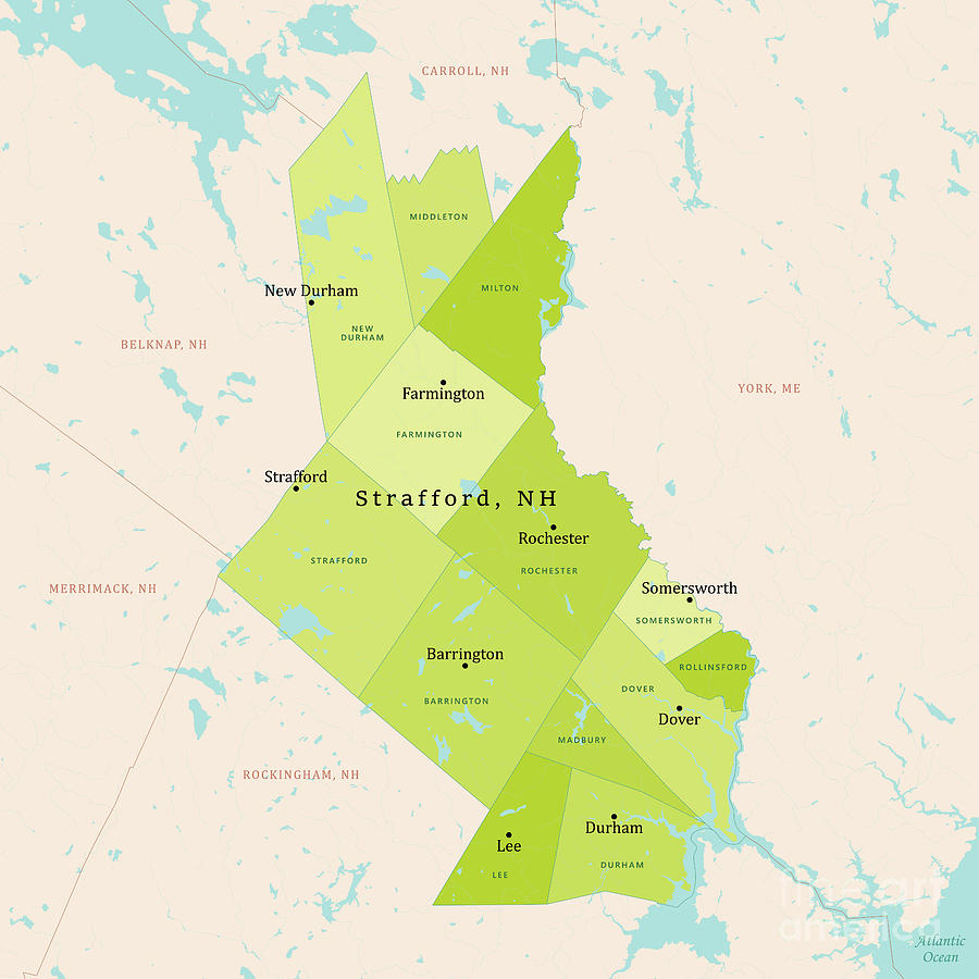 NH Strafford Vector Map Green Digital Art by Frank Ramspott - Fine Art ...