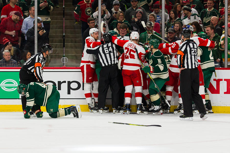 NHL: FEB 12 Red Wings at Wild Photograph by Icon Sportswire