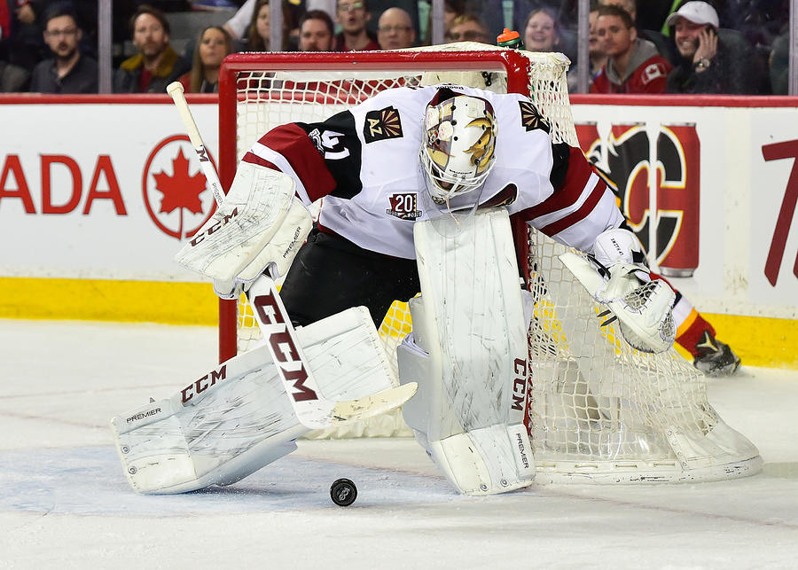 NHL: FEB 13 Coyotes at Flames Photograph by Icon Sportswire