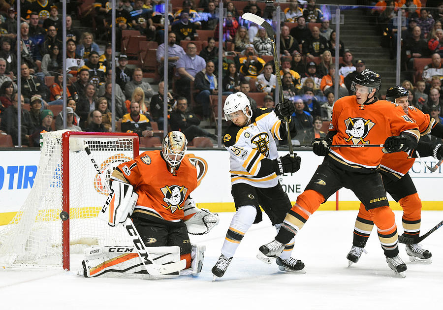 NHL: FEB 22 Bruins at Ducks Photograph by Icon Sportswire