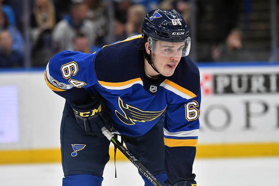 NHL: NOV 29 Ducks at Blues Photograph by Icon Sportswire