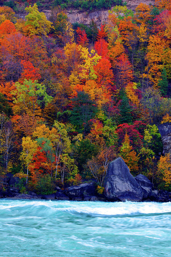 Niagara Colors- Glorious autumn leaves on Niagara River Shore Photograph by Kenneth Lane Smith