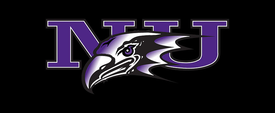 Niagara Purple Eagles logo Digital Art by Red Veles