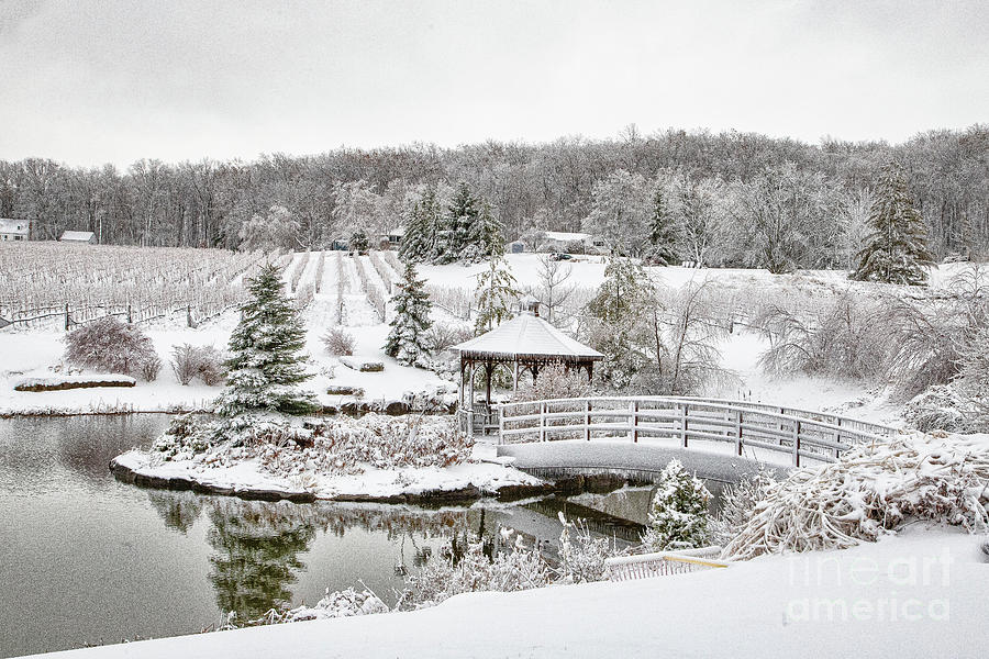 Niagara Winter Magic Photograph by Marilyn Cornwell