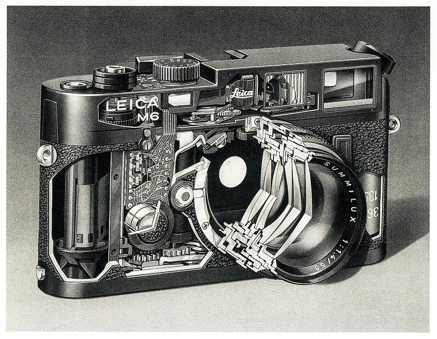 Nice cutaway of Leica M6 Drawing by Lawrence Christopher