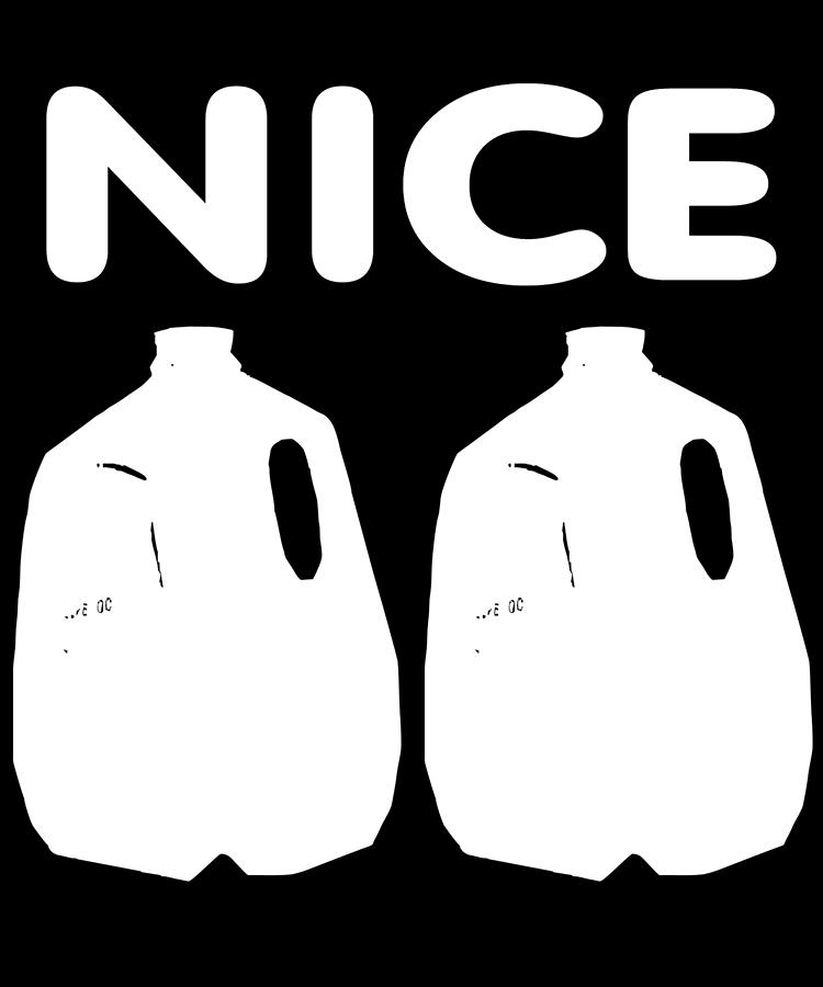 Nice Jugs Digital Art by Flippin Sweet Gear