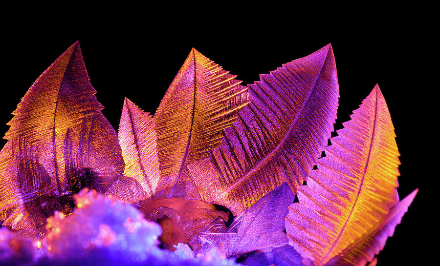 Nice macro closeup of frozen fern like patterns on a frozen soap bubble Photograph by David Ilzhoefer