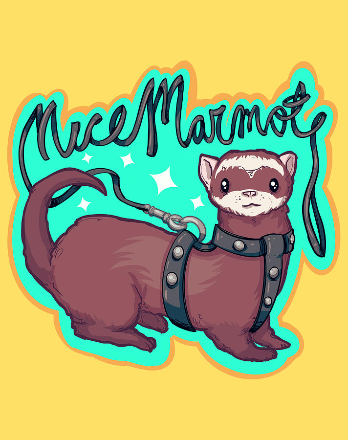 Nice Marmot Drawing