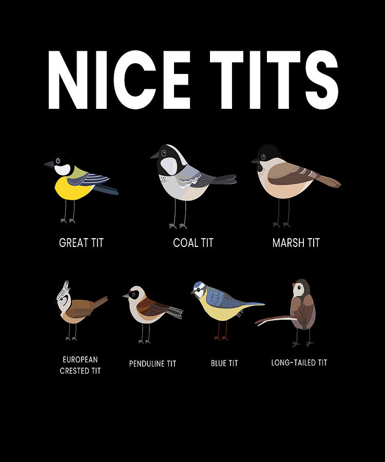 Nice Tits Bird Birds Watching Tit Nature Digital Art By Mooon Tees