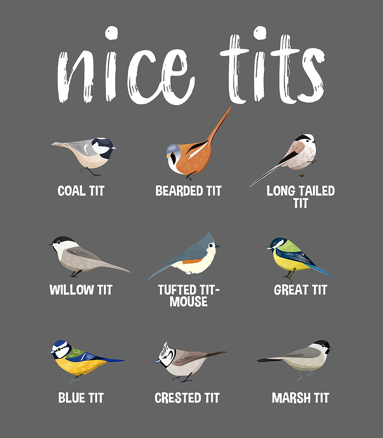 Nice Tits Bird Species Digital Art by Nyra Petree - Pixels