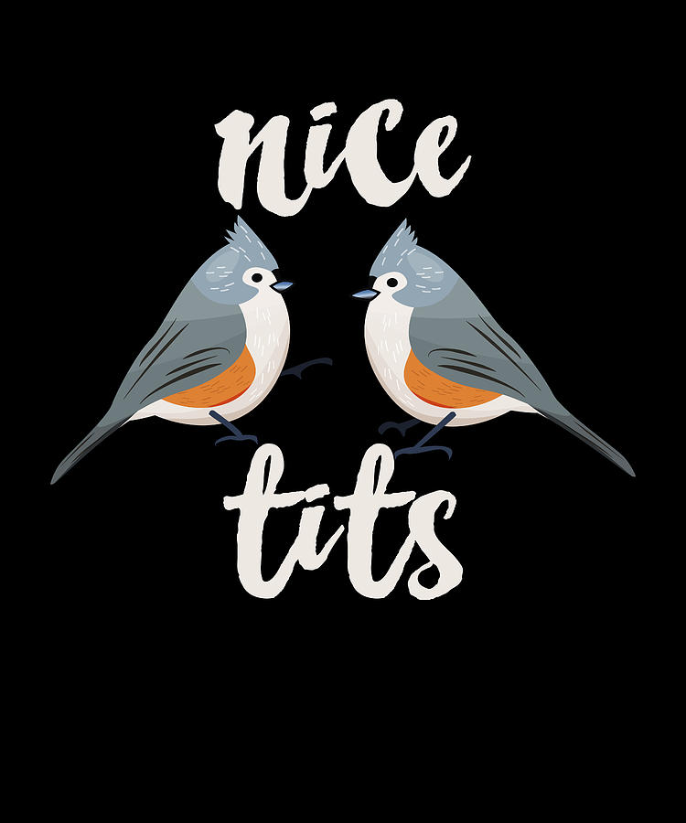 Nice Tits Funny Bird Titmouse T For Birder Digital Art By Qwerty