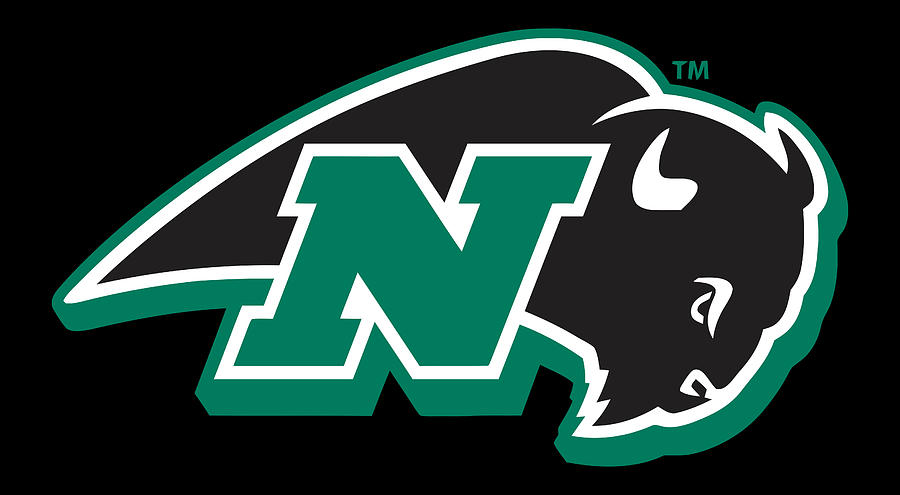 Nichols College Bison Digital Art by Icarus Jagger - Fine Art America