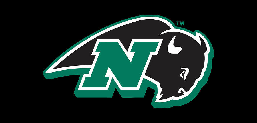 Nichols College Bison Digital Art by Nichols College Bison - Fine Art ...