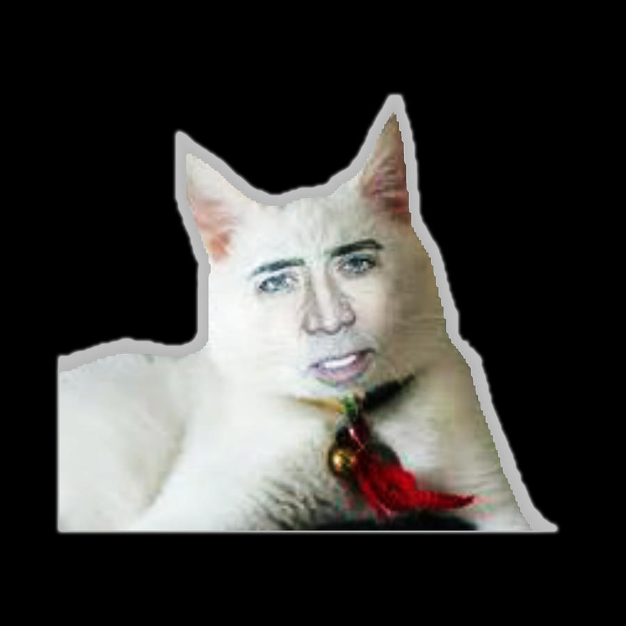 Nicks cat. Николас Кейдж кот. Кот Николас Кейдж рыжий. Cat Nick Belt.