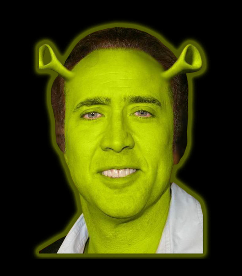 Nicolas Cage Crazy