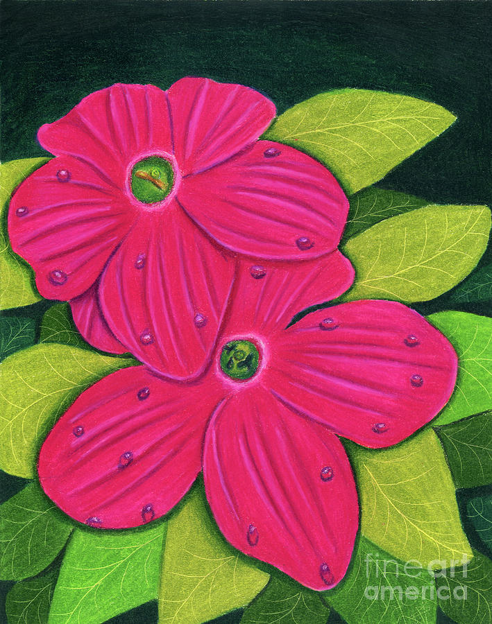Nicotiana Flowers Painting by Dorothy Lee