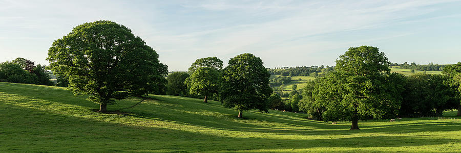 Nidderdale rolling fields Yorkshire Photograph by Sonny Ryse