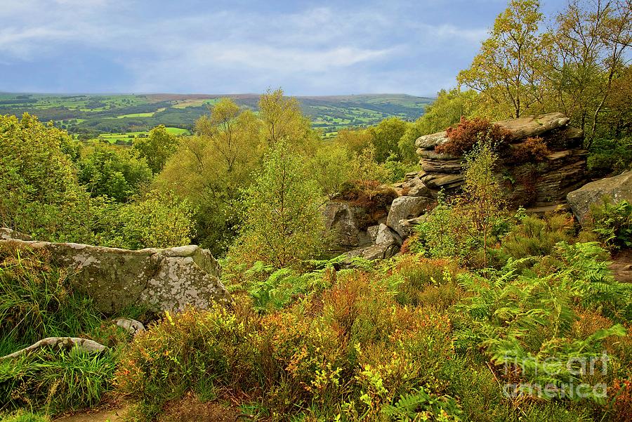 Nidderdale view from Brimham Rocks, North Yorkshire Photograph by Martyn Arnold