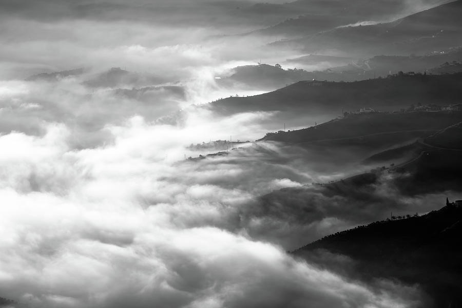 Niebla Photograph by Gary Browne
