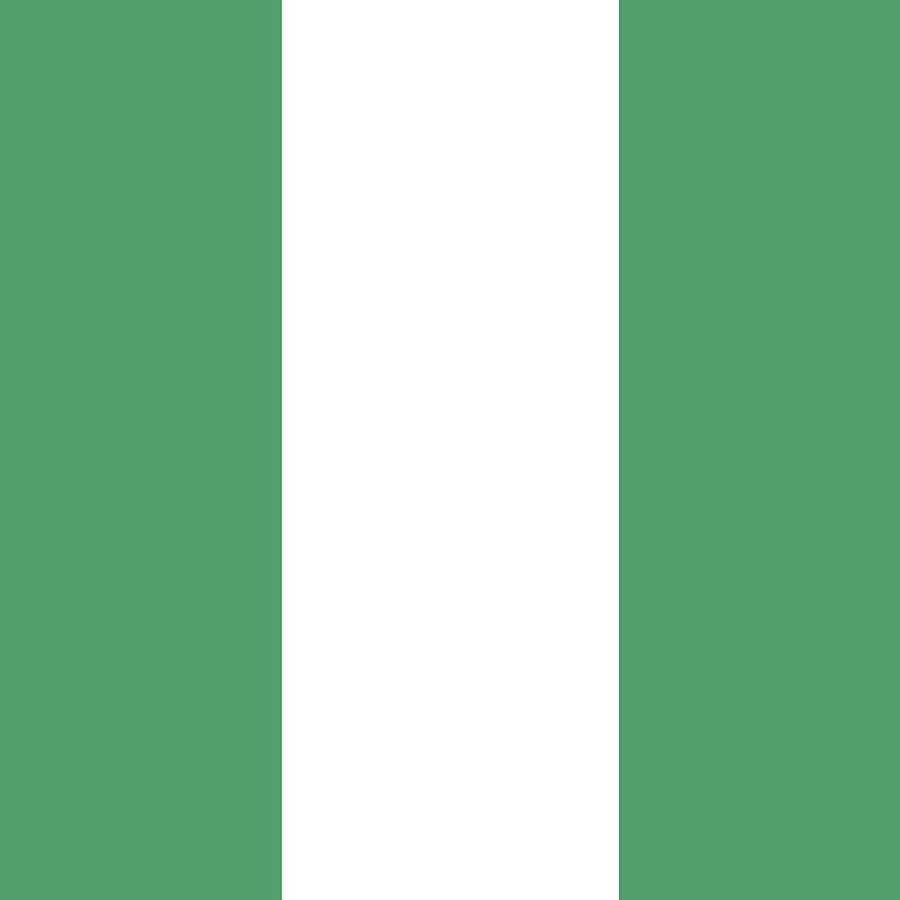 Nigeria flag emblem Mixed Media by Alexander Nedviga