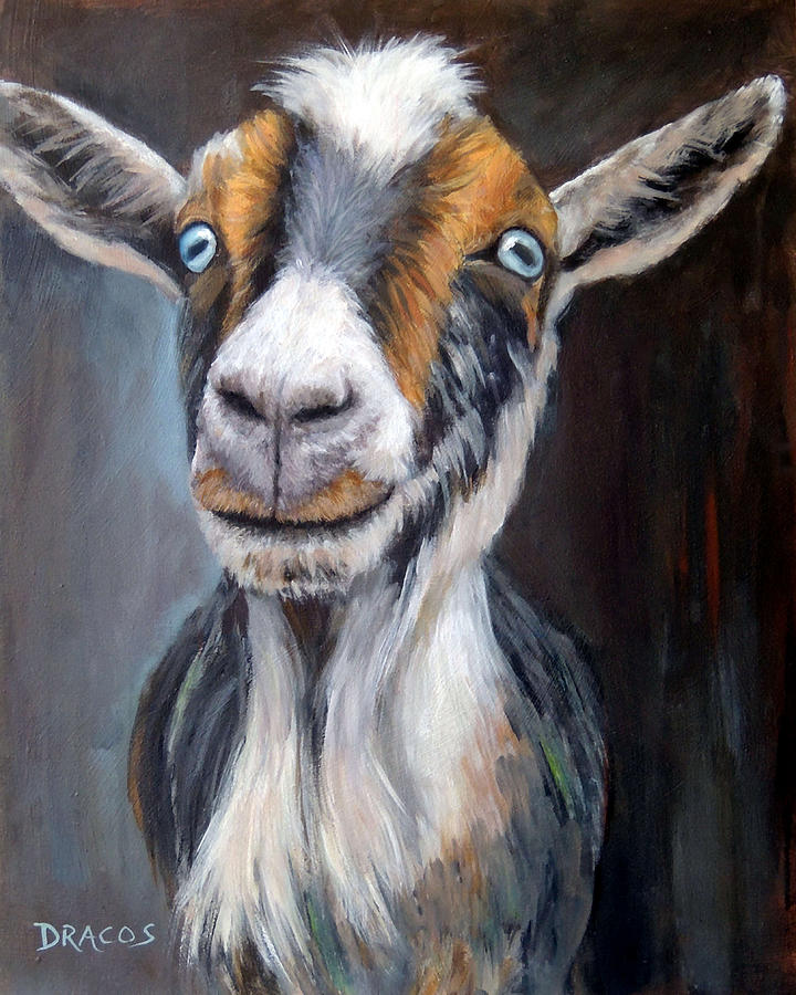 Nigerian Dwarf Goat, Tricolor Painting by Dottie Dracos - Fine Art America