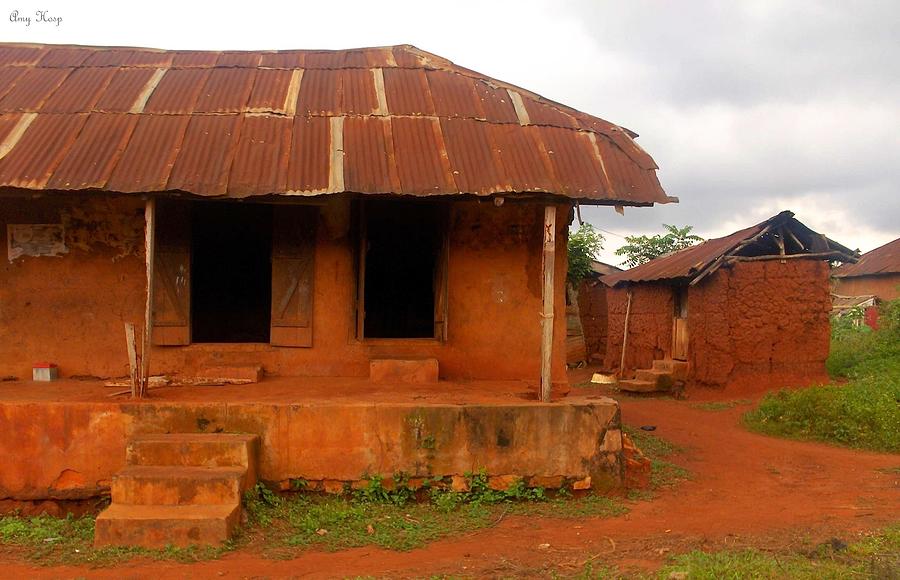 Nigerian House Made From Mud Photograph by Amy Hosp