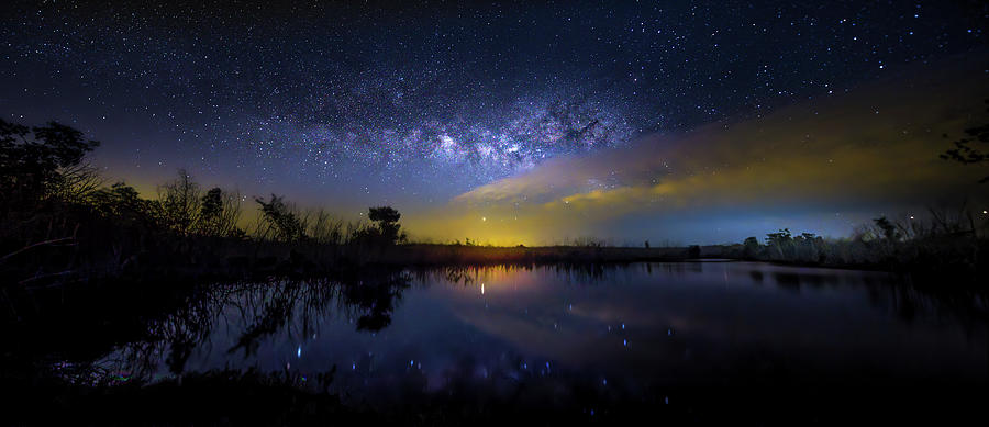 Night at Crocodile Creek Photograph by Mark Andrew Thomas