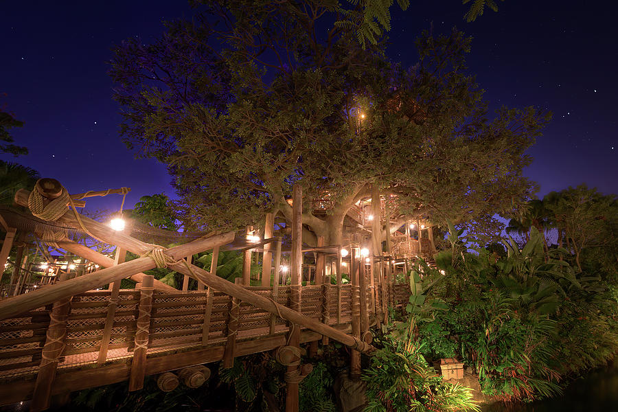 Night at the Swiss Family Treehouse Photograph by Mark Andrew Thomas