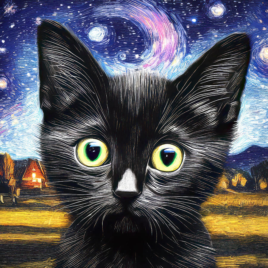 Night Black Kitten Digital Art