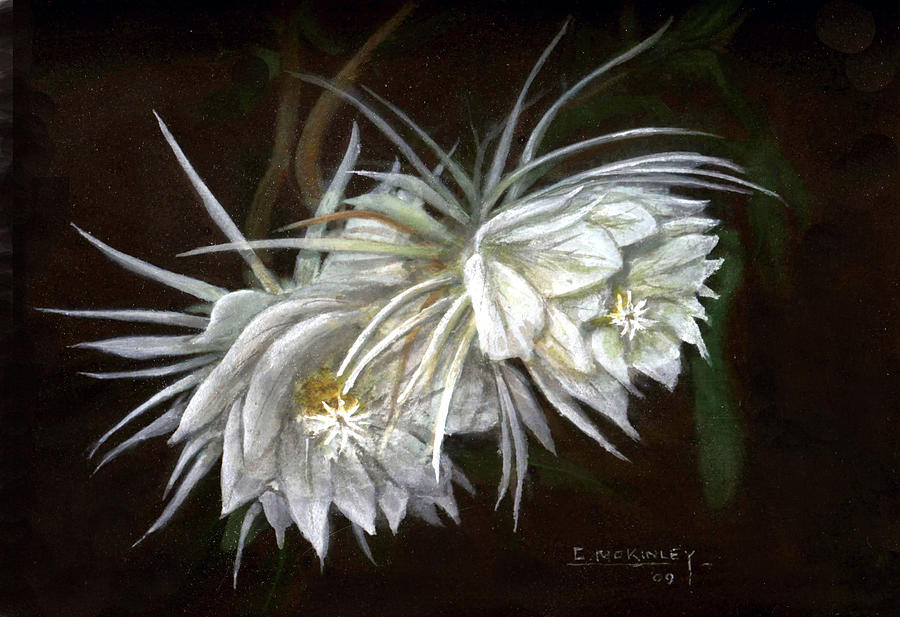 Night Blooming Cereus Painting by Carl McKinley