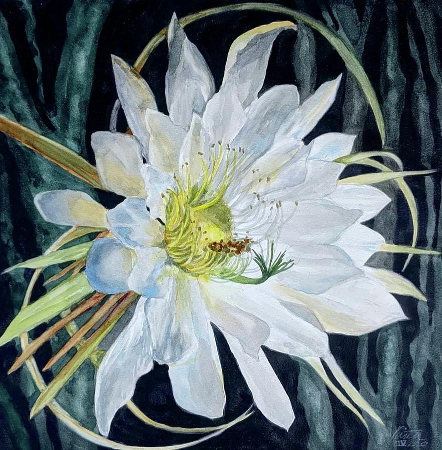 Night Blooming Cereus Painting by Kirsten Beitler