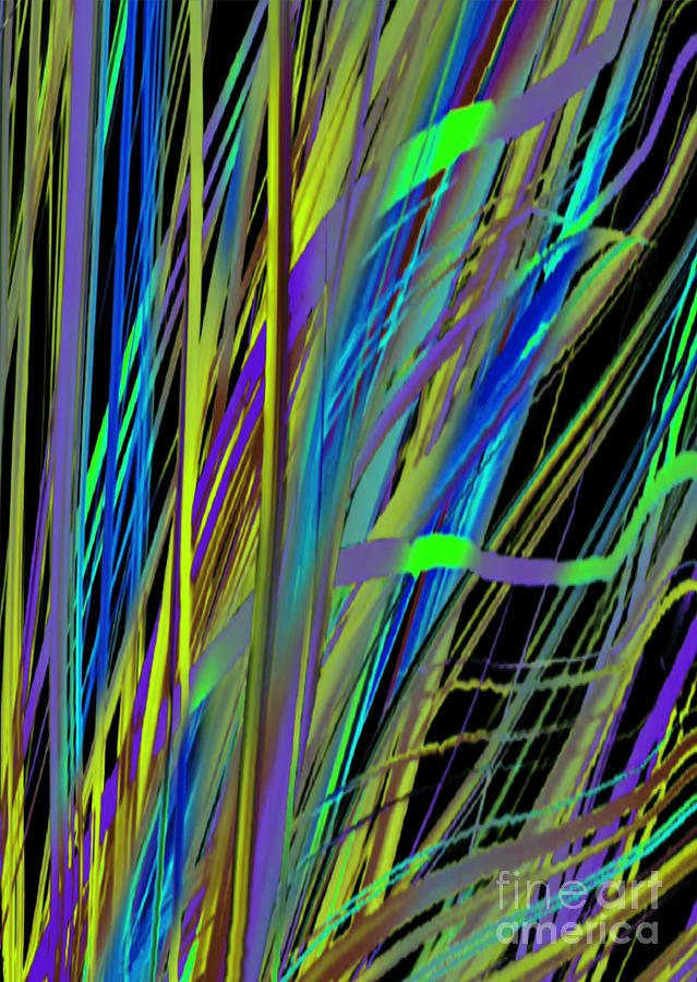 Night Blooming Rainbows Digital Art