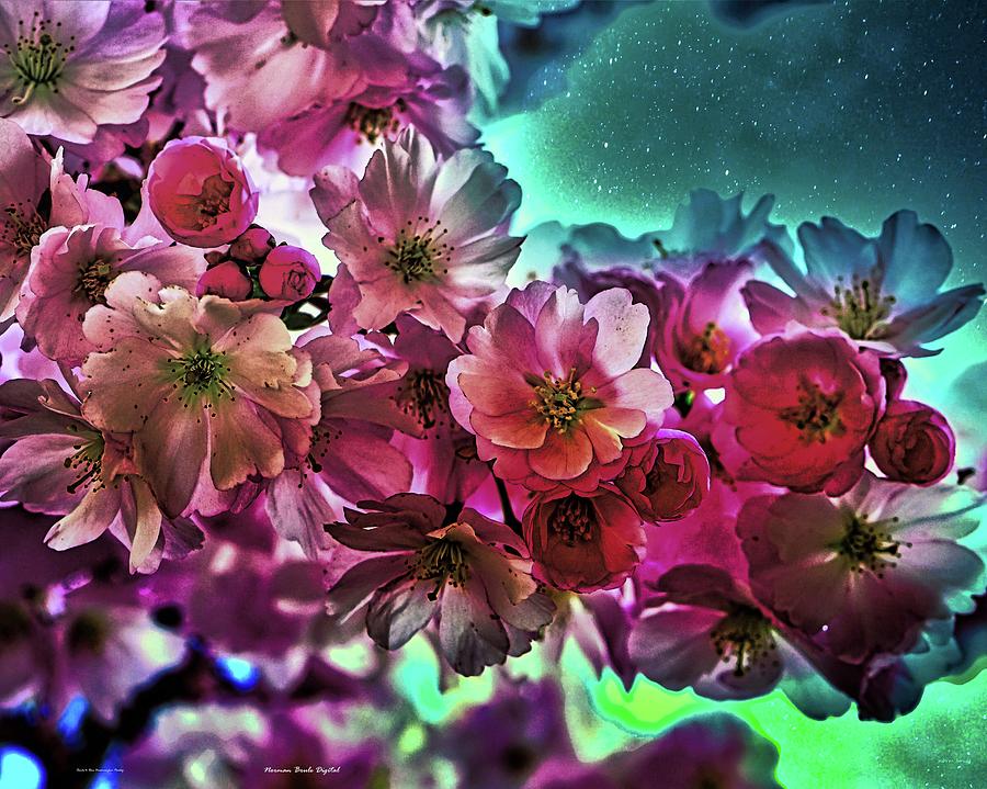 Night Bouquet Digital Art by Norman Brule