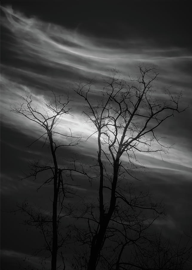 Night Breeze Photograph by Bob Orsillo