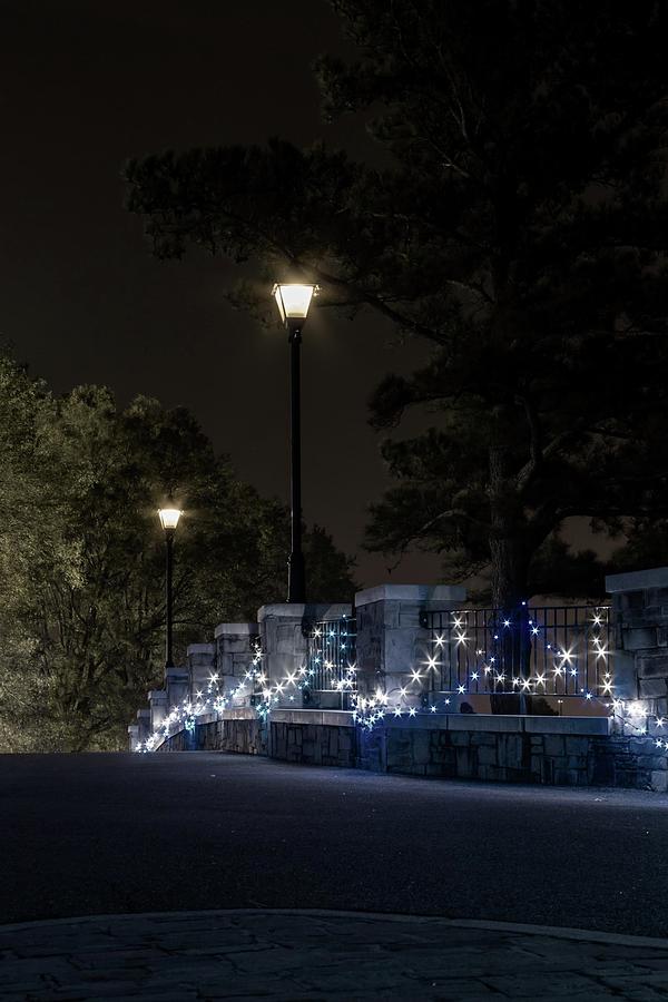 Night Bridge in December Photograph by Liza Eckardt